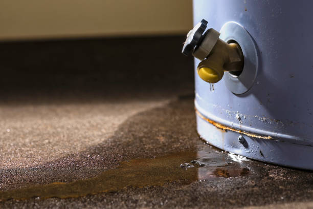 Best Residential water damage restoration  in Glenwood Landing, NY