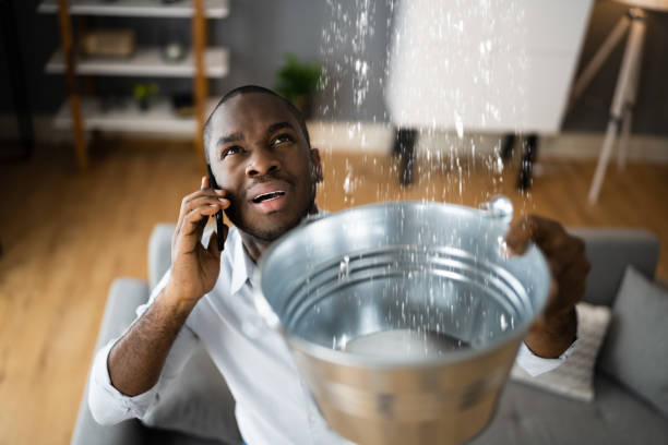 Best Water damage cleanup near me  in Glenwood Landing, NY
