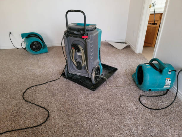 Best Fire Damage Restoration  in Glenwood Landing, NY