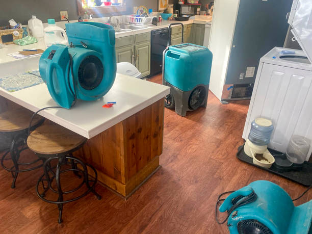 Best Basement water damage restoration  in Glenwood Landing, NY