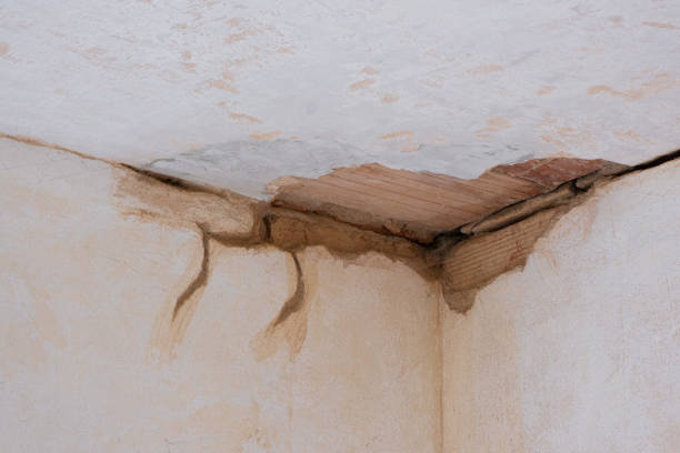 Best Sewage cleanup and water damage restoration  in Glenwood Landing, NY