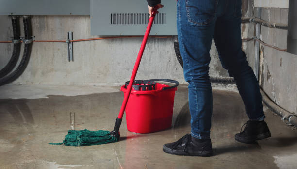 Best Emergency water extraction  in Glenwood Landing, NY