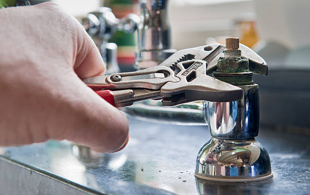 Best Professional water damage repair  in Glenwood Landing, NY