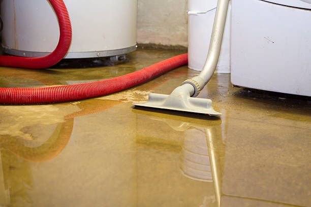 Glenwood Landing, NY Water damage restoration Company