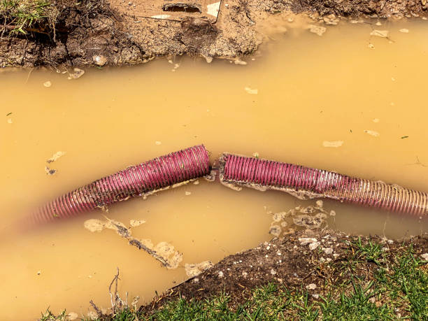Best 24-hour water damage restoration  in Glenwood Landing, NY