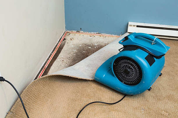 Best Flood restoration services  in Glenwood Landing, NY